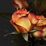 Ikebanos – gėlių komponavimo japonišku stiliumi – kūrybinės dirbtuvės 2023-03-09, 2023-05-13