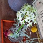 Ikebanos – japoniško gėlių komponavimo meno mokymų kursas (5 kartai) 2024 m. kovo mėn.