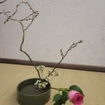 Ikebanos Meditacija- gėlių komponavimo japonišku stiliumi Moribanos kūrybinės dirbtuvės 2024-08-14 18:00 val